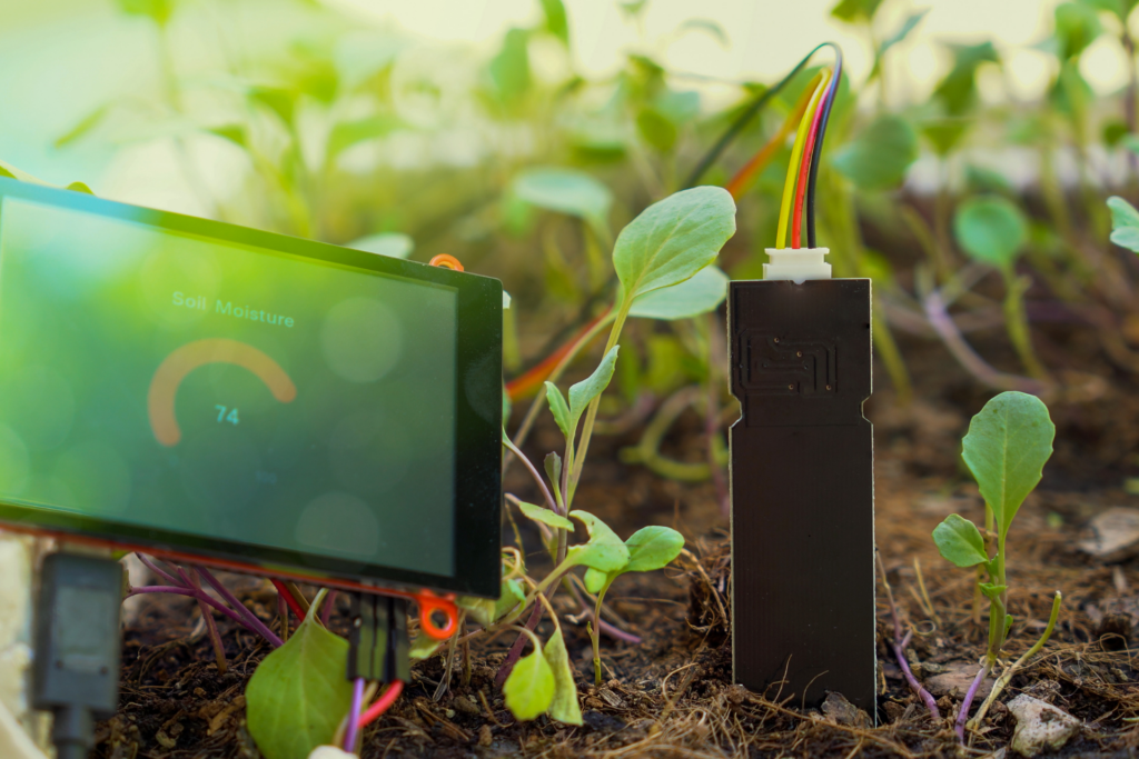 A soil moisture sensor and small display monitor reading field conditions among young seedlings, illustrating accessible farm automation technology.